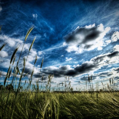 1920 x 1080 HD Wallpapers 2460